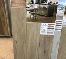 Carrelage imitation parquet pour tout le RDC que j'ai choisi