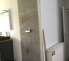 Faïence de la douche