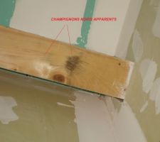 7 fissures jusqu'a 6 m&Atilde;&uml;tres de long sur toute la maison