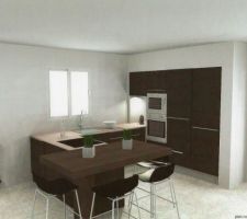 Projet cuisine avec Cuisines Perene
