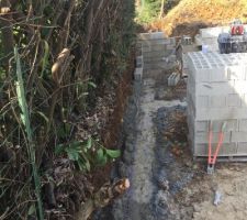 Début vides sanitaires aujourd'hui le lundi 13 mars 2017. Après un arrêt d'une semaine suite à un problème de voisinage et voilà reparti...