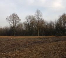 Viabilisation : Déboisement de tout le terrain