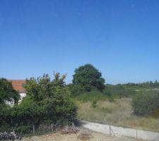 Vue environs (c'est un pays de vignes)