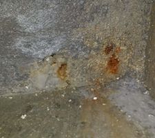 Infiltration dans la cave