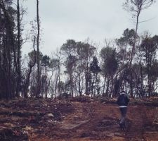 Le lotissement pas encore sorti de terre