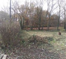 Apr&egrave;s d&eacute;broussaillage par nos soins