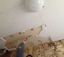 Retrait du polystyrene du plafond de la salle de bain