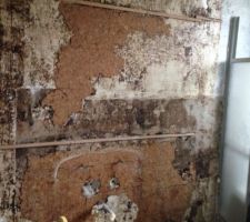 Retrait du lavabo et du bidet de la salle de bain