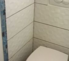 Faënce du WC de la salle de bain