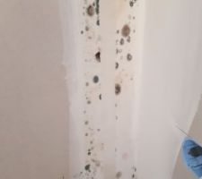 Traces de moisissures au niveau d'une saignée (robinet extérieur) et mousse "débordante" dans une chambre.