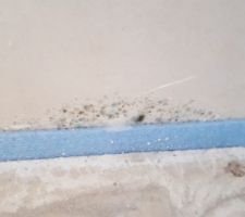 Traces de moisissures dans une chambre qui continue derrière le film.