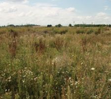 Une photo du terrain difficile de s'imaginer ...
il fait 839metres carres , une vue deguagee sur la campagne environnante.