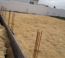 Debut des fondations