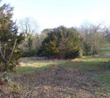 Le chemin d'acc&egrave;s de 45m vers la parcelle situ&eacute;e derri&egrave;re les arbres.