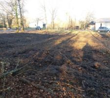 Souches enlev&eacute;es