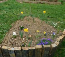 Le parterre fait l hiver dernier