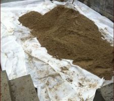 Préparation sol de la cave