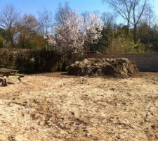 Jardin en friche
