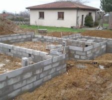 ENFIN ELLE SORT DE TERRE