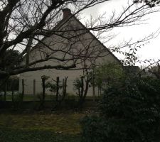 Vue de notre terrain avant cr&eacute;ation du lotissement