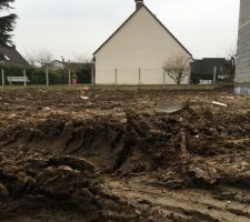 Terrain avant d&eacute;but du chantier