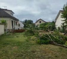 Le terrain... en mode nettoyage