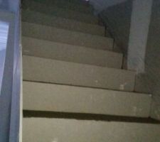 REPRISES DES MARCHES AVANT LA POSE DES CARREAUX