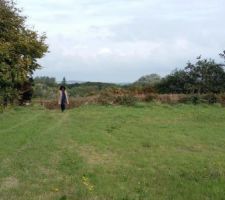 Entr&eacute;e du terrain, &agrave; l'est