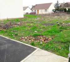 Une petite photo du terrain qui n'attend plus que la maison