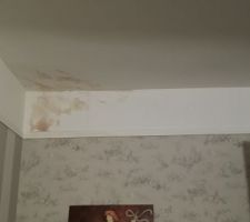 Dégât des eaux suite cheminée du voisin HS