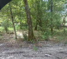 Le terrain avant travaux