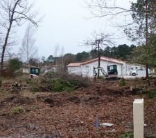 C'est parti ! d&eacute;boisement en cours...