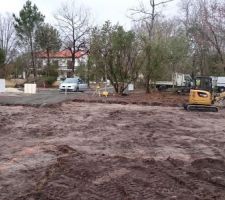 Ouverture des fouilles