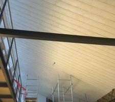 Pose du lambris au plafond