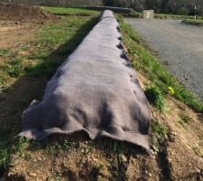 Pose de la natte sur le talus