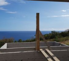 Début de la charpente: Piliers de la terrasse couverte