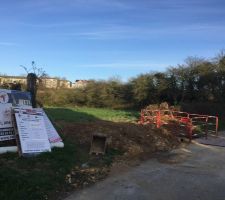 Destruction d'une partie de la haie afin de r&eacute;aliser la viabilisation du terrain (eau & assainissement).