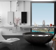 Faïences de la salle de bain