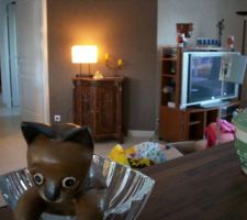 Le salon vu de la cuisine.