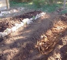 Bois en décomposition afin de favoriser l'action des champignons