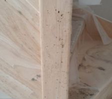 Moisissures (escalier)