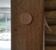 Moisissures (escalier)