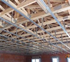 Le plaquiste a pr&eacute;par&eacute; son travail en d&eacute;cembre .On attend que le ma&ccedil;on revienne batir 2 murs int&eacute;rieurs du garage.