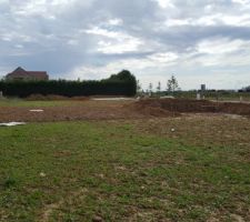 Mon jardin...