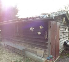 Cabane de jardin