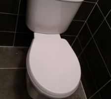 WC posé et en place