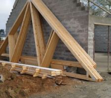 Dimanche 2 avril 2017 je suis allée voir la maison et j ai eu la surprise de voir que les éléments de charpentes avaient été livré vendredi. Cette semaine là maison aura sûrement son toit.