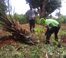 Pr&eacute;paration de terrain