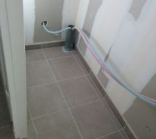 Carrelage toilettes