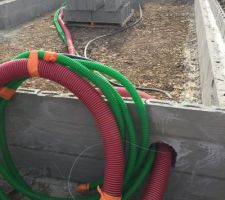 Vide sanitaire en cours